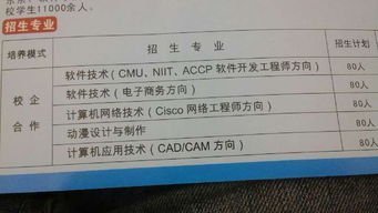 大學(xué)軟件測(cè)試方向?qū)I(yè)選擇指南 計(jì)算機(jī)網(wǎng)絡(luò)、計(jì)算機(jī)應(yīng)用與軟件技術(shù)深度解析